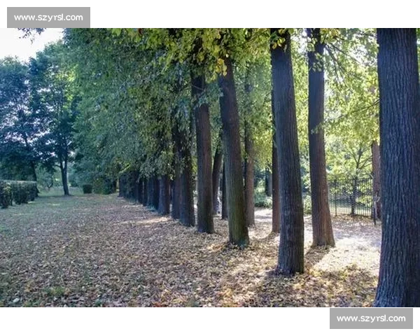 中国女排对阵俄罗斯比赛录像全景解析经典回合重温战术细节与高光瞬间